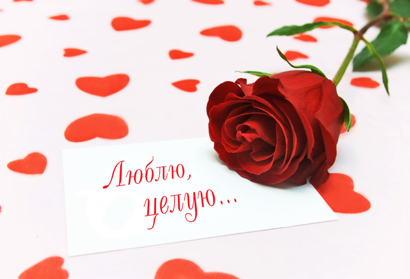 Замена задних тормозных дисков опель астра н своими руками Замена задних тормозных дисков опель астра н своими руками